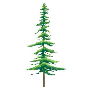 Meet your Posher, Cedar
